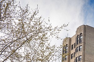 Apartments For Rent In Kenwood Chicago Apartments For Rent In Kenwood Chicago